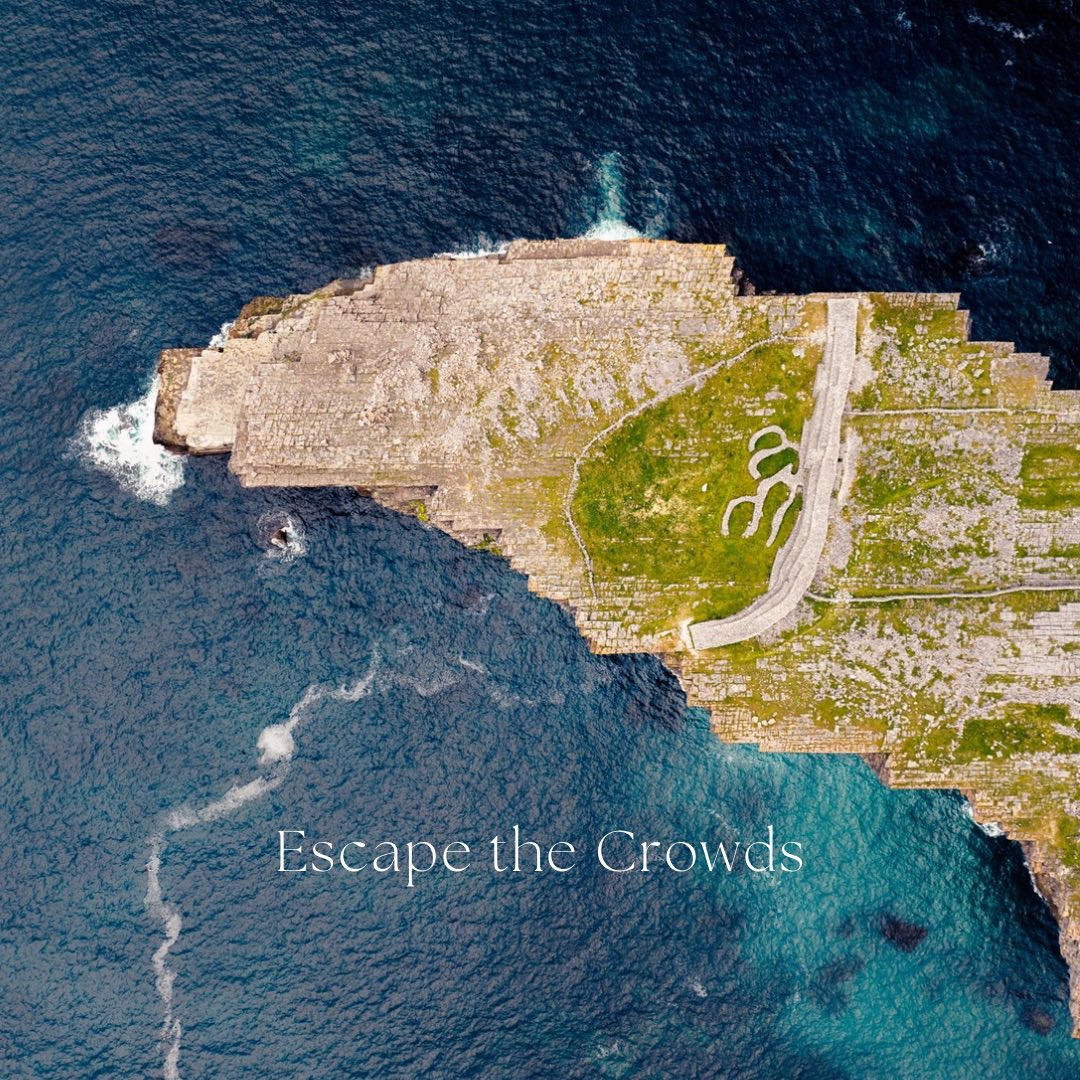 DiveAran tweet media