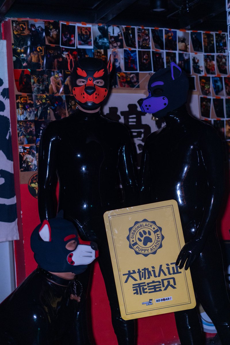 易染枫 tweet media