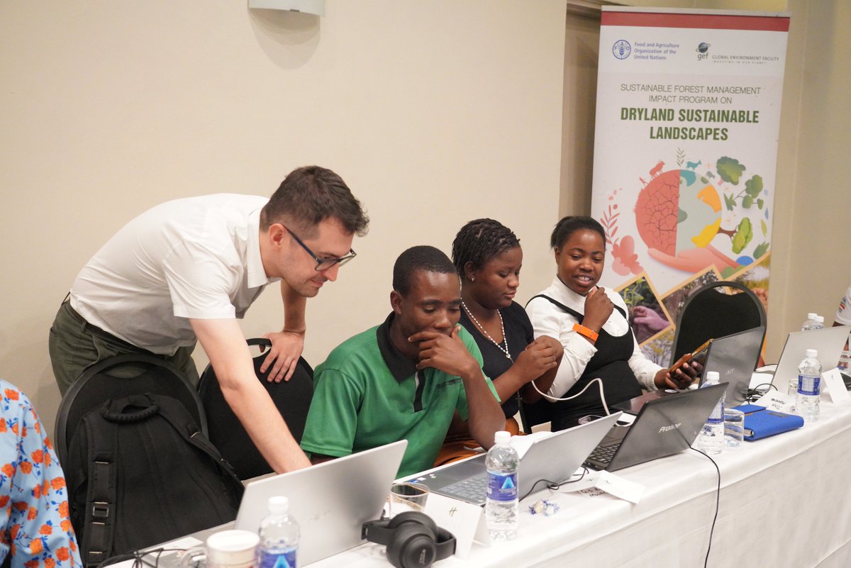 FAOZimbabwe's tweet image. 🛰️ Hands-on training underway! 

Participants are learning to use #CollectEarth and Google Earth Pro to interpret land use and land cover across Zimbabwe’s national grid. Data-driven decisions for a greener future! 🌱 #LandMonitoring #FAO #DSLIP 🙏to @theGEF support.