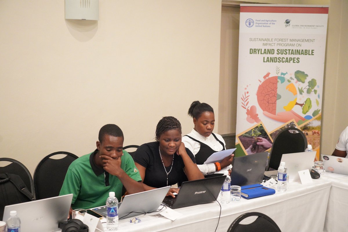 FAOZimbabwe's tweet image. 🛰️ Hands-on training underway! 

Participants are learning to use #CollectEarth and Google Earth Pro to interpret land use and land cover across Zimbabwe’s national grid. Data-driven decisions for a greener future! 🌱 #LandMonitoring #FAO #DSLIP 🙏to @theGEF support.