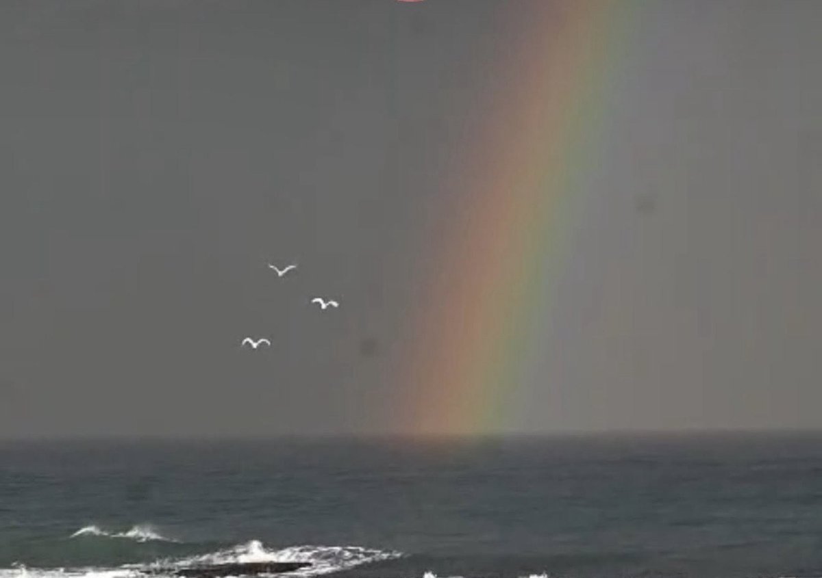 Prophecy meets reality — Israel’s peace deal marks a divine turning point.

EQMFLOW PROPHETIC UPDATE — A MESSAGE FOR ISRAEL AND ALL NATIONS

This is a vital message for today — and for every nation under Heaven to understand.

EQMFLOW &amp; ONMC have been working closely with rabbis