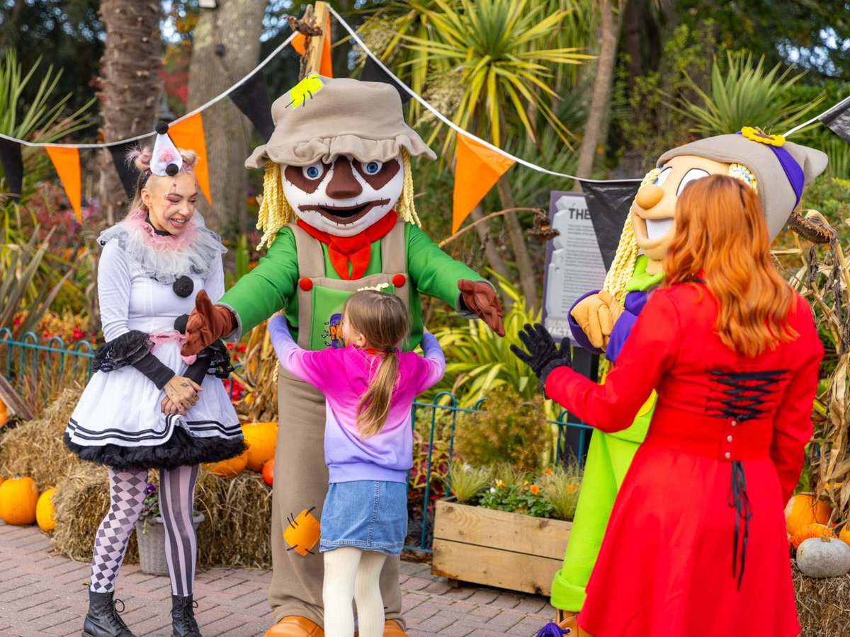 Paultons Theme Park tweet media