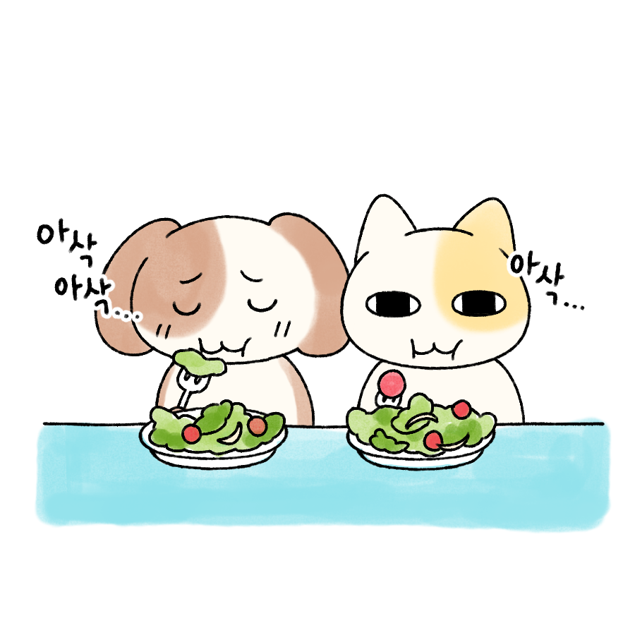 묘냥이와 멍구 (@myo_n_meong) on Twitter photo 