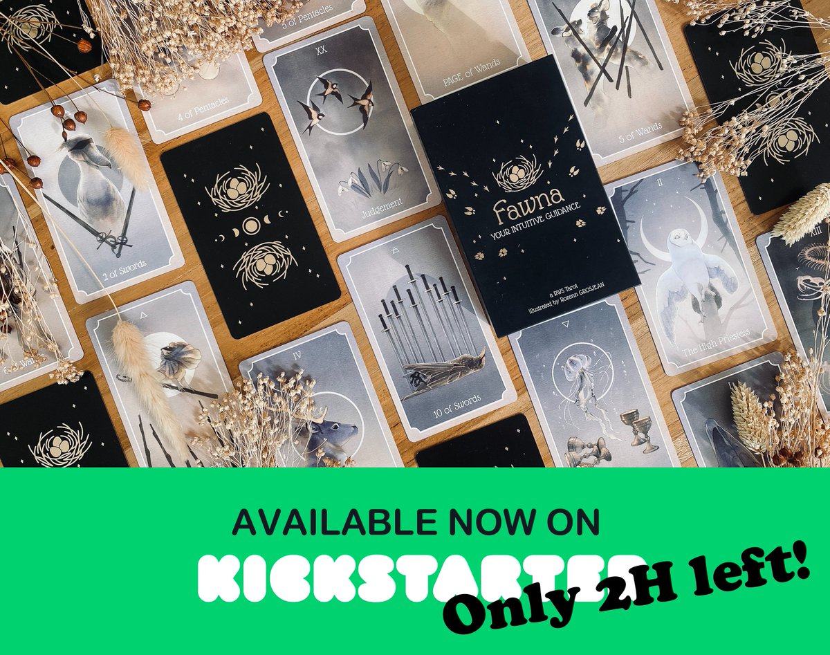 This is it, there's only 2h left for the campaign! 🤍

kickstarter.com/projects/rozen…