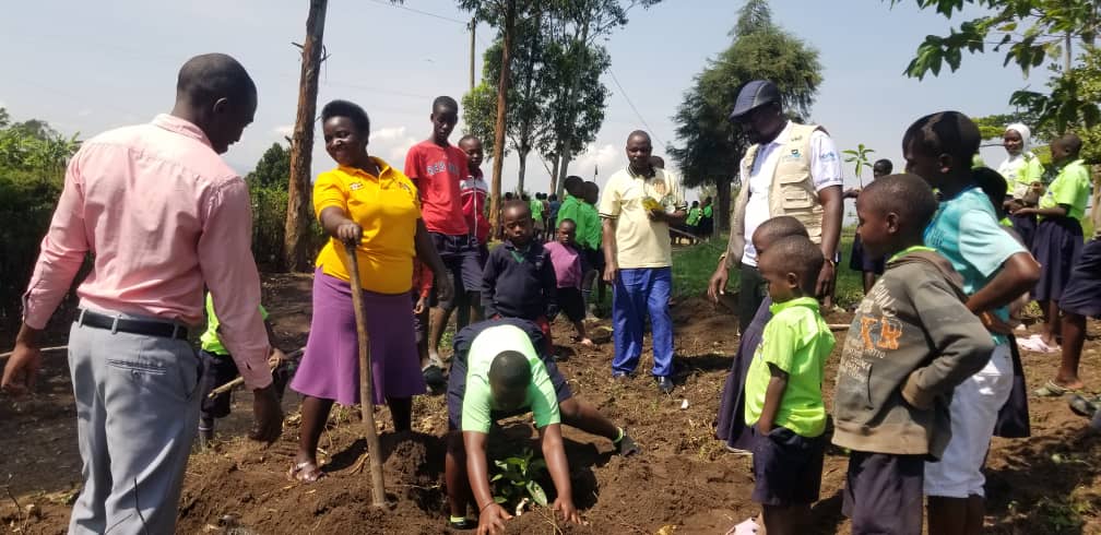 Tree planting is underway across schools in Southwestern Uganda under the #IPALSE project 🌱

In Ntungamo, led by Teacher Educator <a href="/johnomara86/">John Omara</a>, learners, teachers, and SMC/PTA members joined hands to green their school and support Green Clubs in environmental conservation.