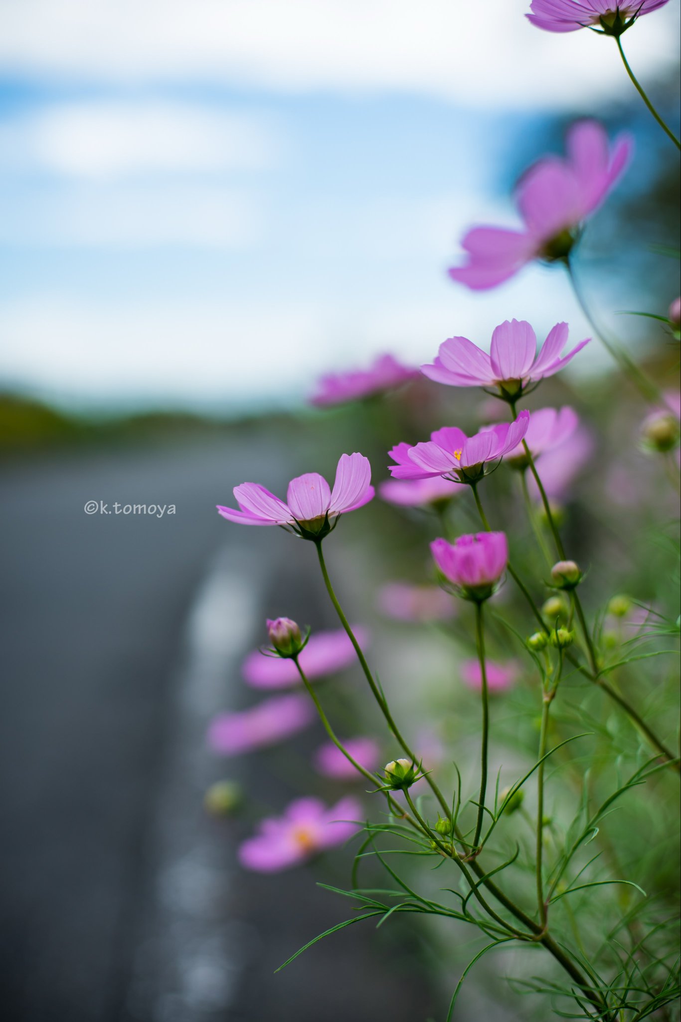 konini_t@α7III最高ぉぉぉぉぉ！！！ on X: 