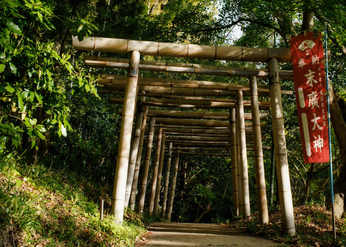 my-taiken.eth 🇯🇵 Rarity in Tradition (@mtk_nft) on Twitter photo 