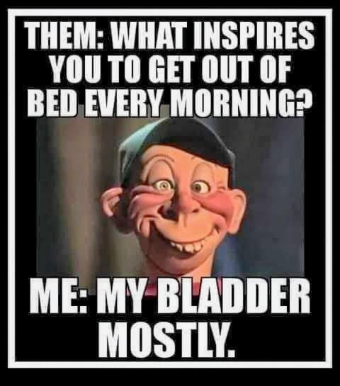 4BillLewis's tweet image. So, what inspires you to get out of bed every morning?

The smell of coffee… and, well... ☕😅🍩

#ButFirstCoffee #MorningHumor #ThursdayThoughts