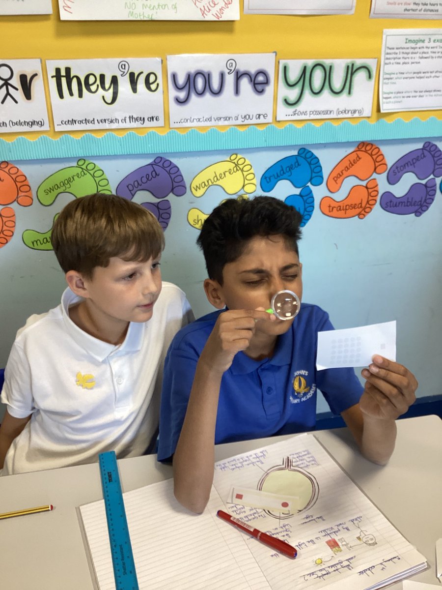 6BR loved being opticians in Science this week. We labelled parts of the eye and discussed why some people may need glasses. Eye test anyone? 🤩😎