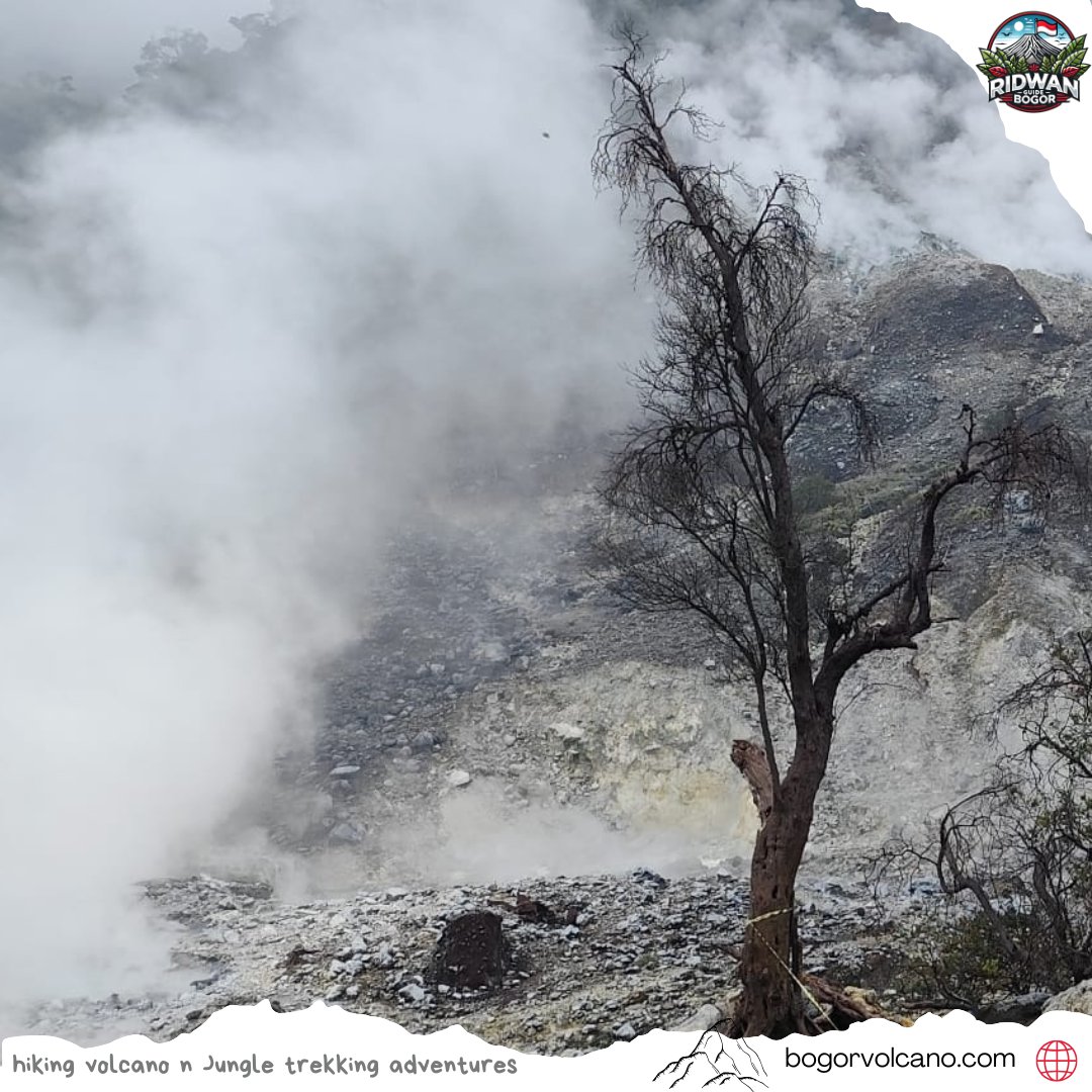 GuideRidwan's tweet photo. A family from Norway discovered pure happiness hiking Mount Salak volcano, trekking through the rainforest, and chasing hidden waterfalls with Ridwan Guide’s team
🌐 https://t.co/G97tpKxxQp
#NorwayTravelers #IndonesiaAdventure #MountSalak #FamilyTrip #RidwanGuide #ExploreJava https://t.co/hOHywRvdA1