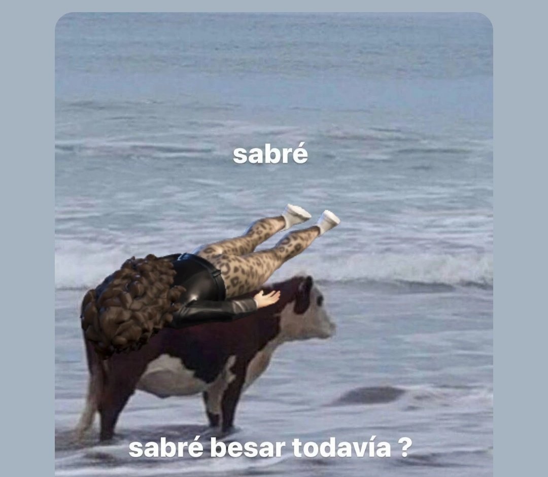 🤷🏻‍♀️😭🤣🤣