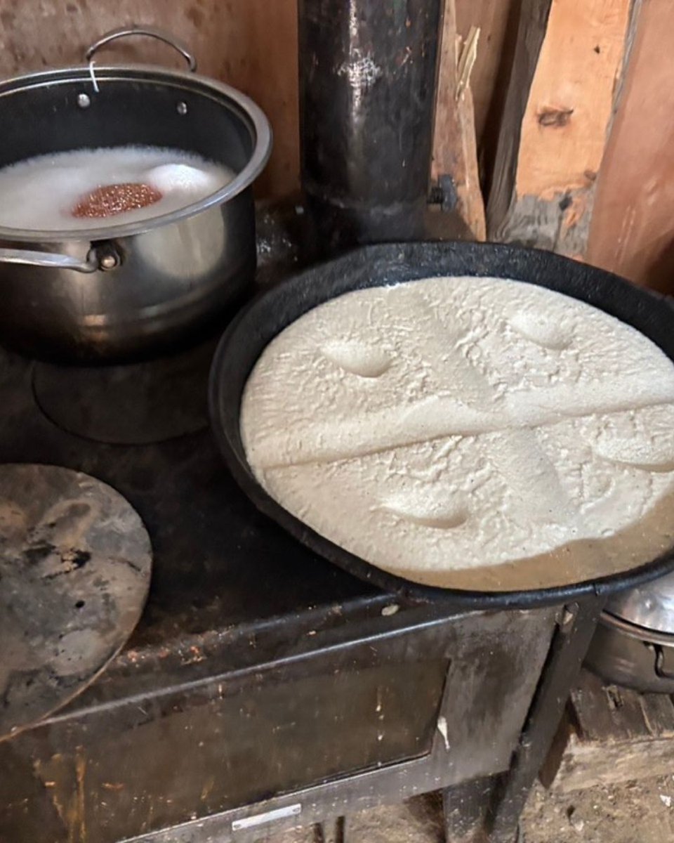 This week, co-founder Emma shares her experience of visiting the Malesorë shepherds of North Albania, an experience guests on our Family Peaks of the Balkans holiday and several of our Albania holidays get to have. 

Learn more about the visit 🐑👇

f.mtr.cool/ftgtefxhxa