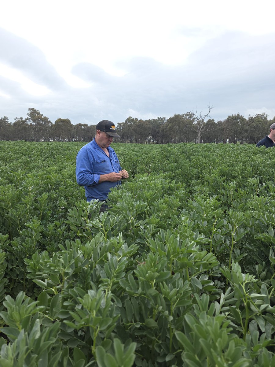 Broden holland tweet media