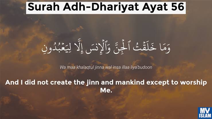 █V█ r. █─█ tweet media