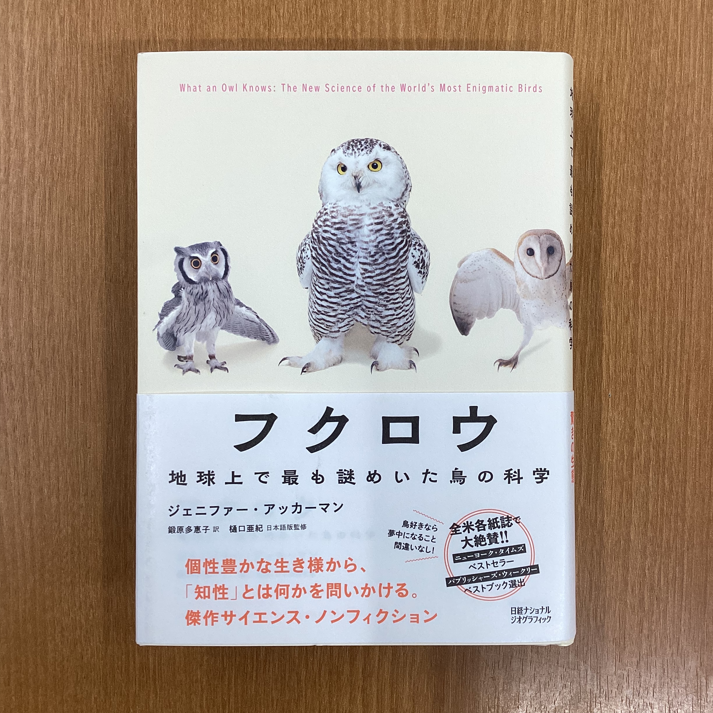 ナショナルジオグラフィック日本版 (@NatGeoMagJP) / X