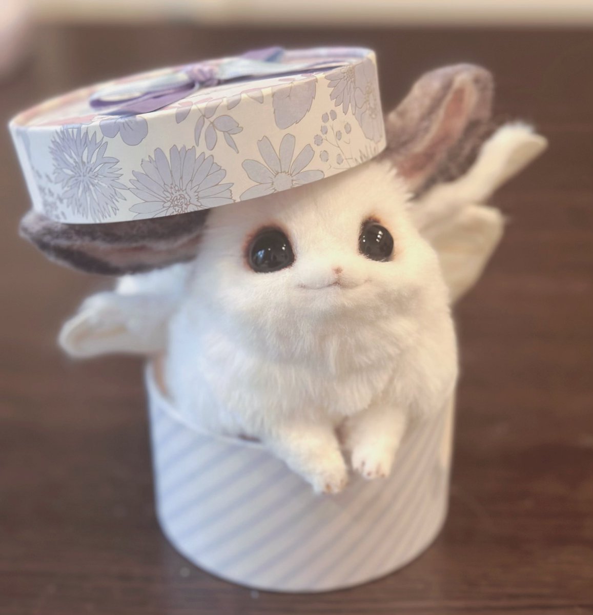 tyairononeko's tweet photo. 🐰、なぜか箱に収まりがち…（そしてそのまま寝る） https://t.co/HJb4RAhLS0
