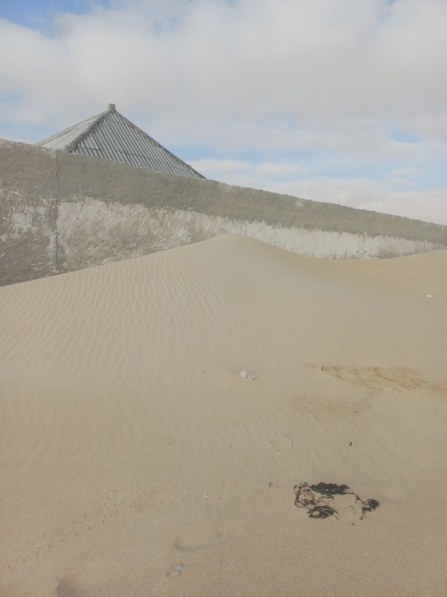 Sabrie1A's tweet image. Sand dunes are real, and the destroy a whole community. The youth of #Hobyo and #Orbitsolutions have the right solutions to combat #Deforestation @MoECC_Somalia