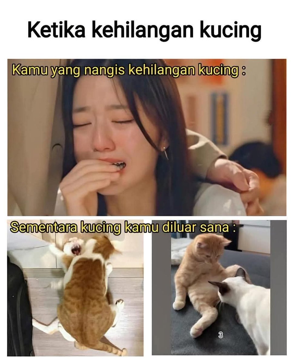 Ketawa itu GRATIS 🛩 (@kucengterbanggg) on Twitter photo 