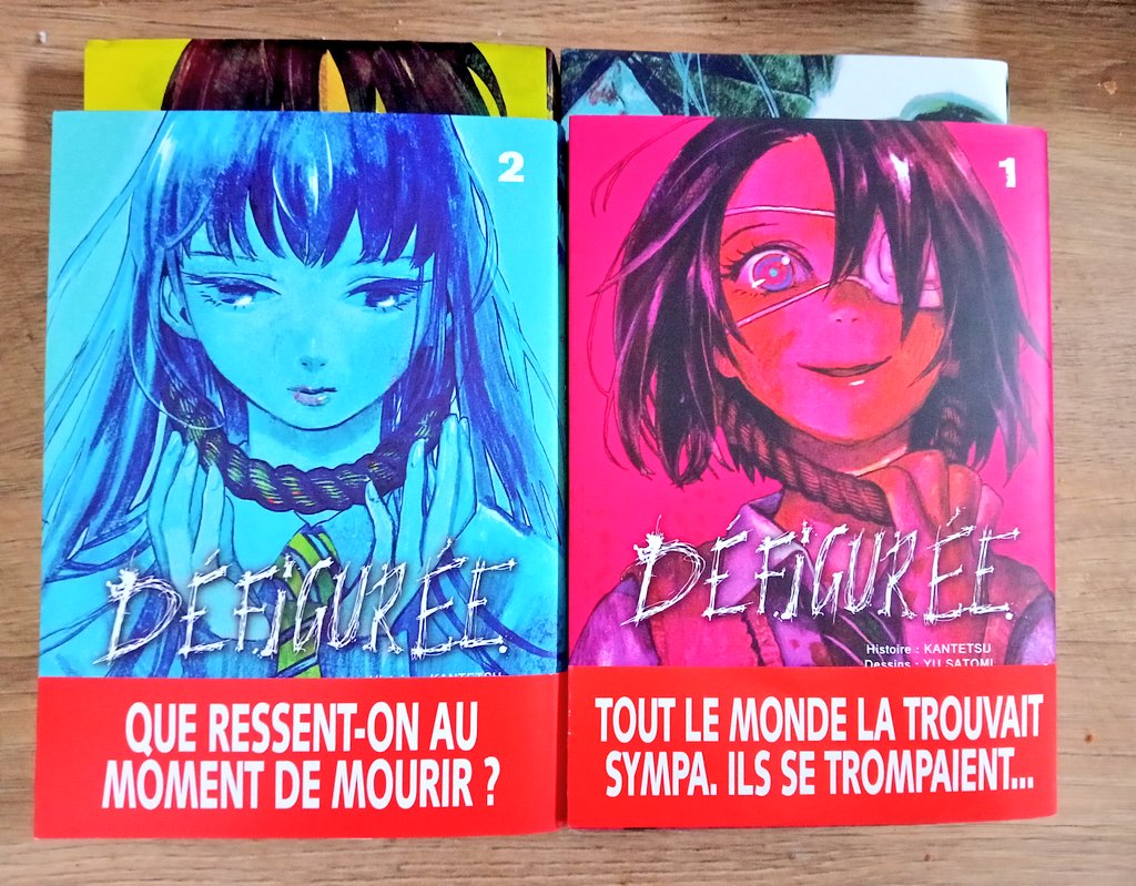 Défigurée est une bonne petite série qui va jusqu'au bout, illustrée par <a href="/usatomi/">里見有</a> (Nuisibles, sword of the Demon Hunter).