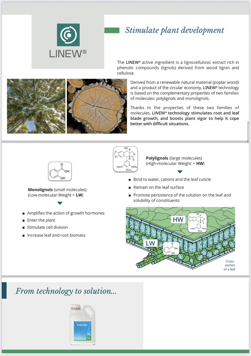 GolfGeek6's tweet image. Each week, I’ll spotlight one of our cutting-edge, patented technologies @olmixgroup showing how we turn technology into real-world, sustainable solutions. Elevating and supporting turf performance.

Exclusively available @CollierTurfCare 

First up: Linew &amp;amp; Seanergy 🌱 
#PFC6