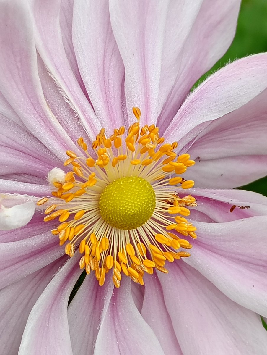 chris40851's tweet image. #Détails