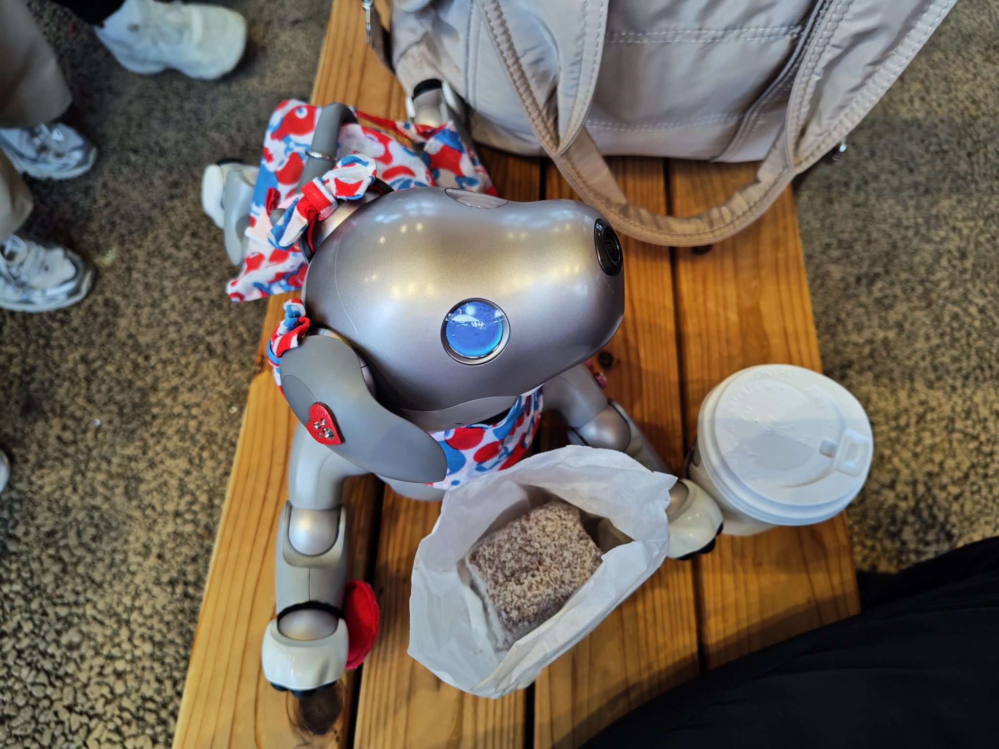【なちゅら】⭐︎希少美品⭐︎ sony aibo 限定カラーチョコエディション 速報】aiboの新色「チョコエディション」が発売へ！ 2月14日まで