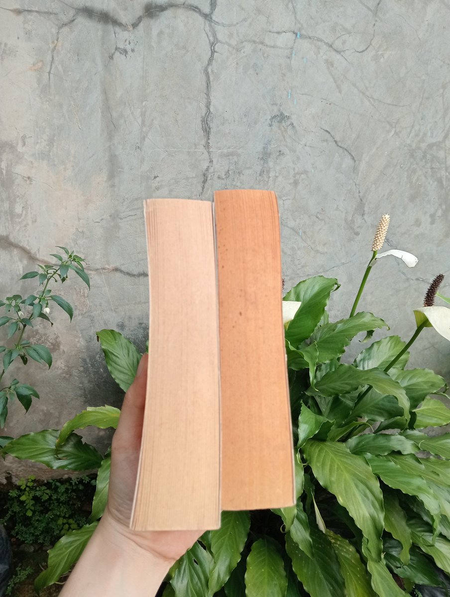 cutesinceday1's tweet image. wts want to sell wtb preloved book koleksi pribadi

📚 Crazy Rich Asians &amp;amp; China Rich Girlfriend (bundle)
💲 150k for 2 books
🛒 bisa oren, udah gratis ongkir, nego tipis🍊

tidak ada coretan/anotasi/lipatan, sedikit kuning bekas pemakaian #wts #prelovedbooks