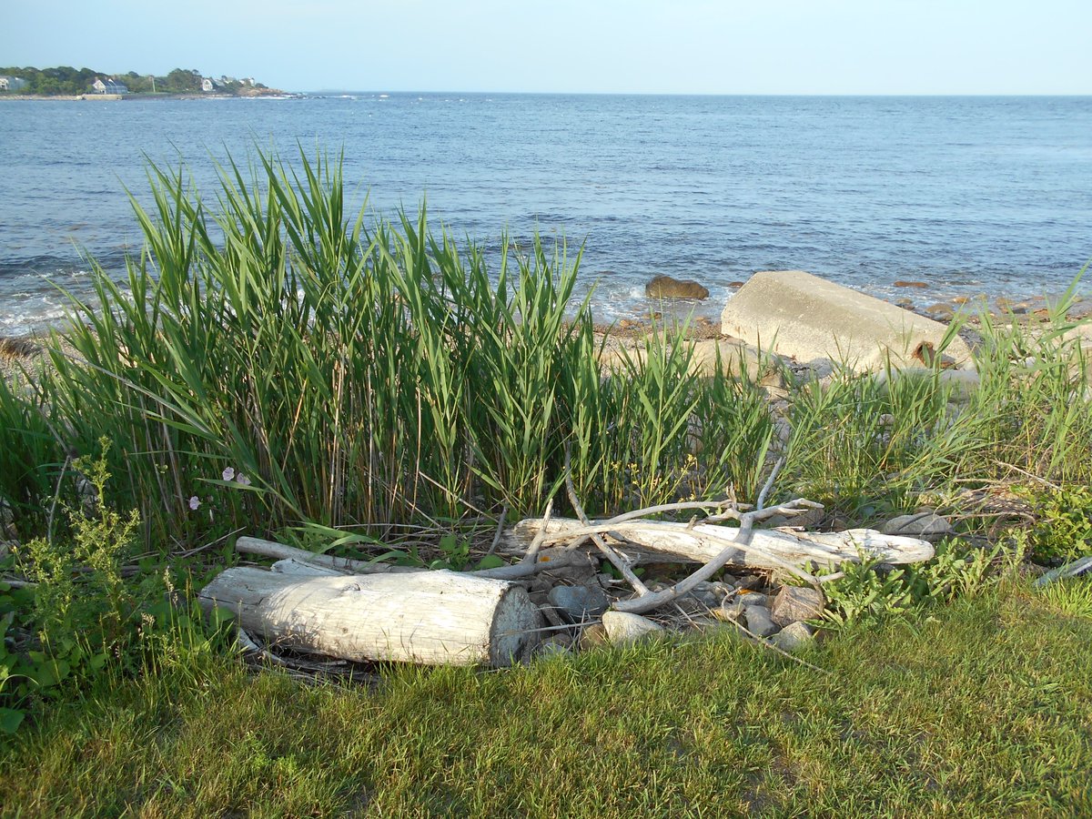 Dear God, Today I woke up. I am healthy. I am alive. Thank You, I apologize for all my complaining. I'm truly grateful for all You've done.