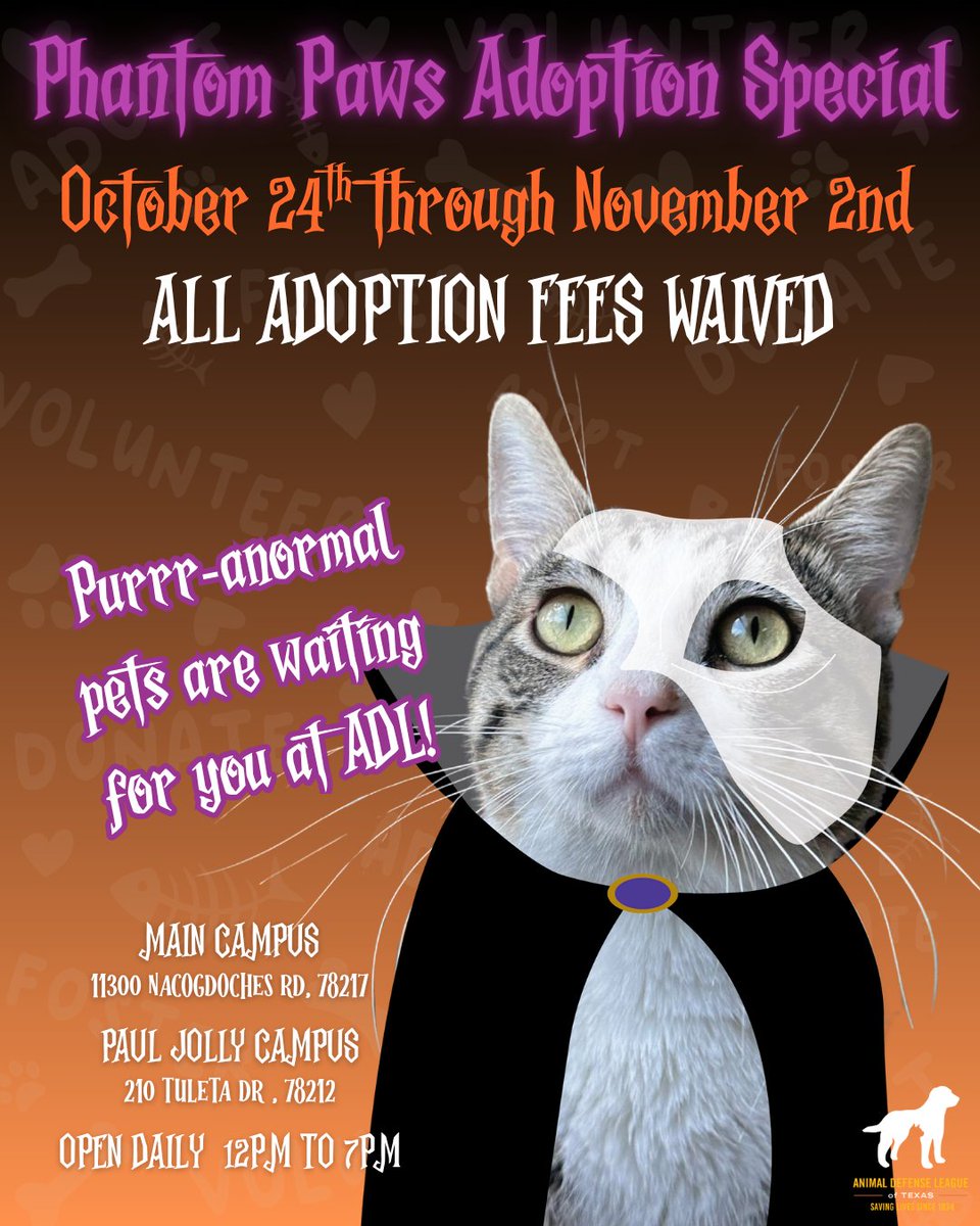 Animal Defense League of Texas tweet media