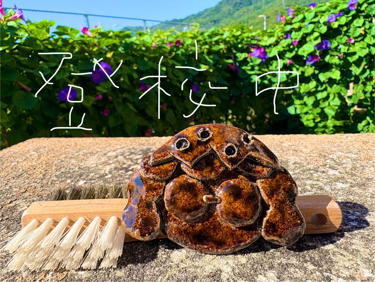 きょうは美学校
体調さえんが全回受講達成のためとうこうちゅう🐌（今日で20分の10かいめ）