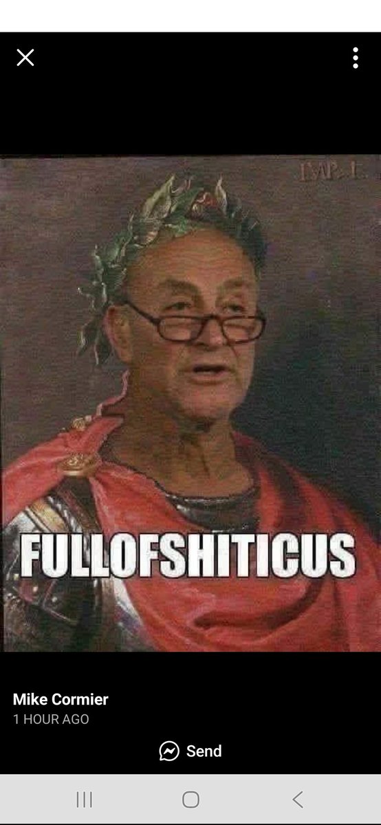 Look who is trying to rule over a duly elected president , looks like Schumer is making himself KING..