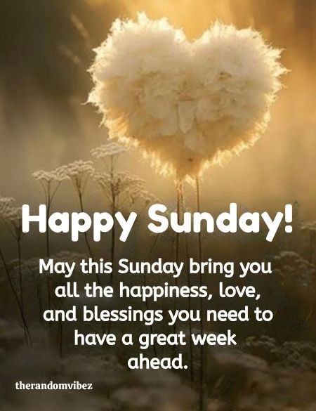 therandomvibez's tweet image. therandomvibez.com/blessed-sunday/