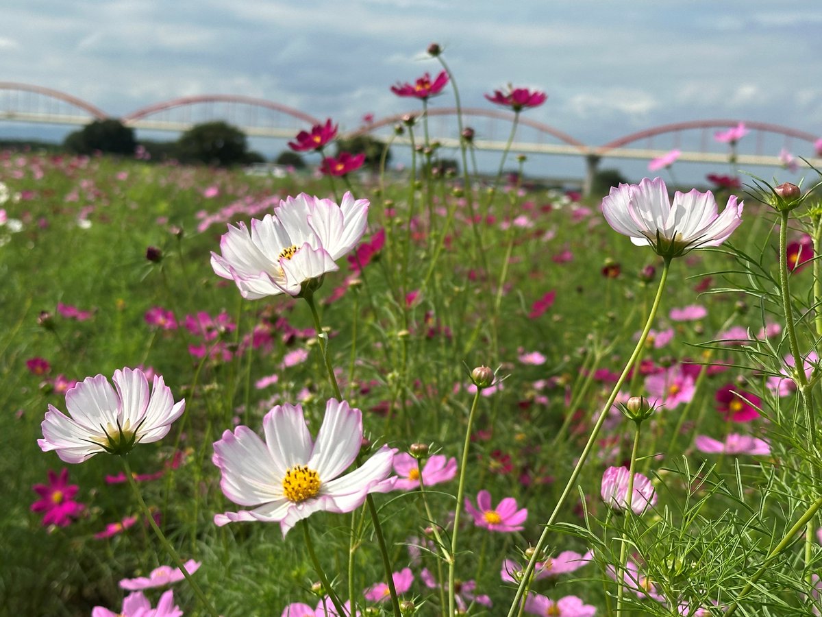 一財）埼玉県交通安全協会 on X