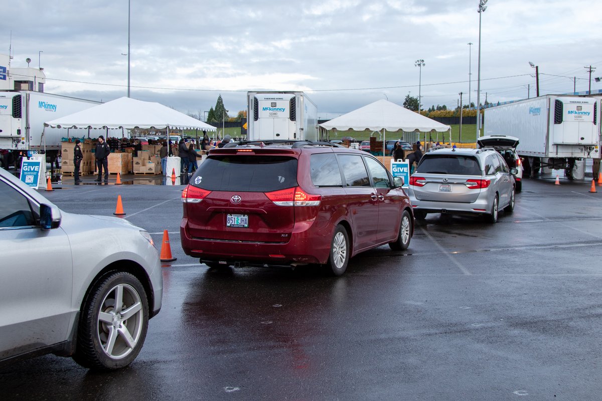 Sunshine Division tweet media