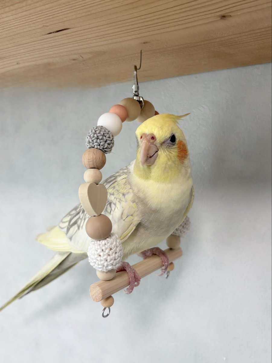 金運インコ こまこ_Komako on X