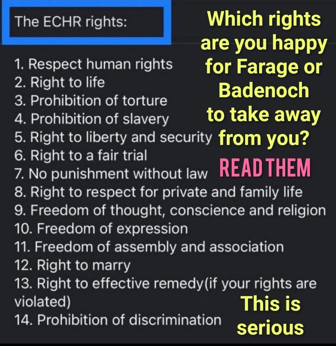 steven_dimond's tweet image. Leaving the ECHR will do nothing to help stop the boats. We're still bound by other conventions and treaties to take them in. The reason they want to leave the ECHR is to strip you of basic human rights. Don't be fucking idiots.