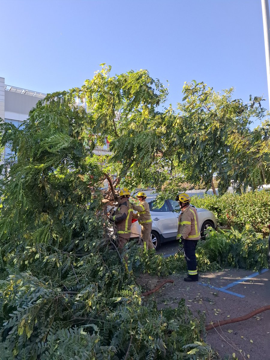 Durant la guàrdia d'avui hem realitzat 23 serveis relacionats amb el vent. Hem treballat conjuntament amb <a href="/policiaSitges/">POLICIA DE SITGES</a> <a href="/AjSitges/">Ajuntament de Sitges</a>
