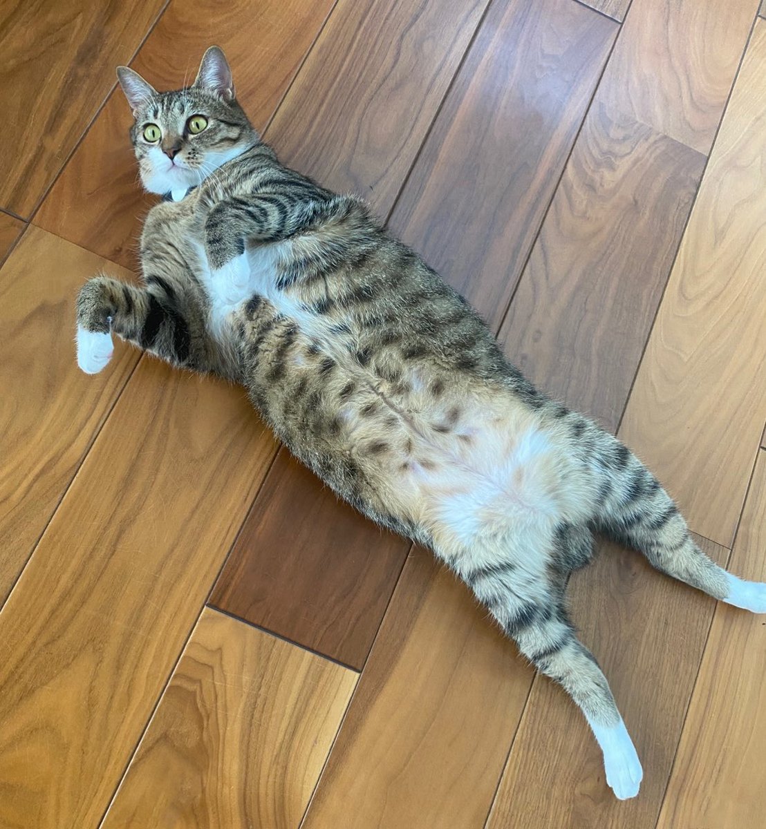 杉本恵📱9/21🌊東7A22b📱 (@1nose3sakixxx) / Posts / X