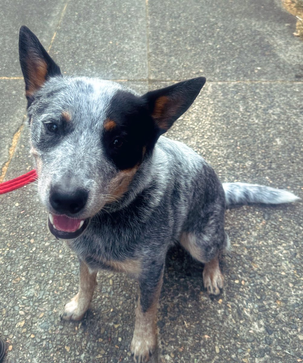 GemmaTognini tweet media