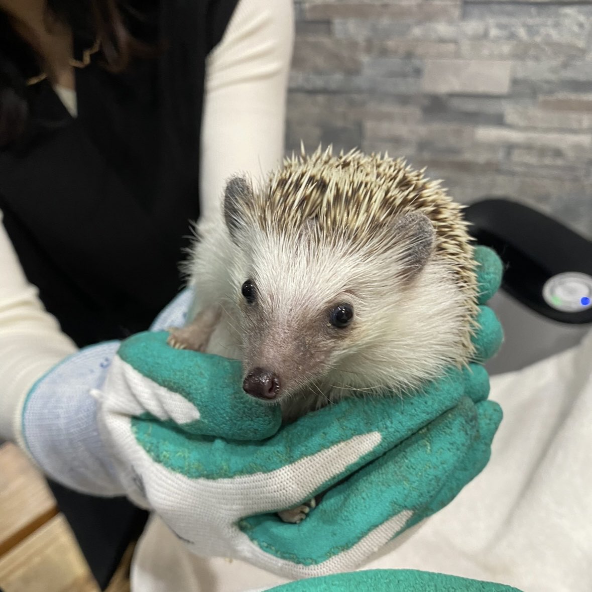 おはようございます🌞
みんな大好き週末きんようびです✨

東京は曇りのち晴れですが週末は雨模様の予報ですね☔️土日は少し遠出してお散歩する予定だった東京X担は頭を悩ませてます🤦‍♀️

みなさまのオススメ雨の日のおでかけスポット、全力で教えてください🥹