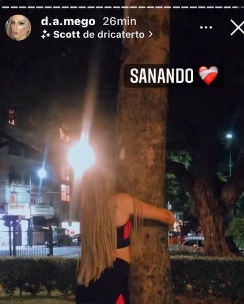 estuve medio del orto todo el dia sali un ratito a ver el atardecer y sacarle una foto al cielo y me cambio el humor completamente