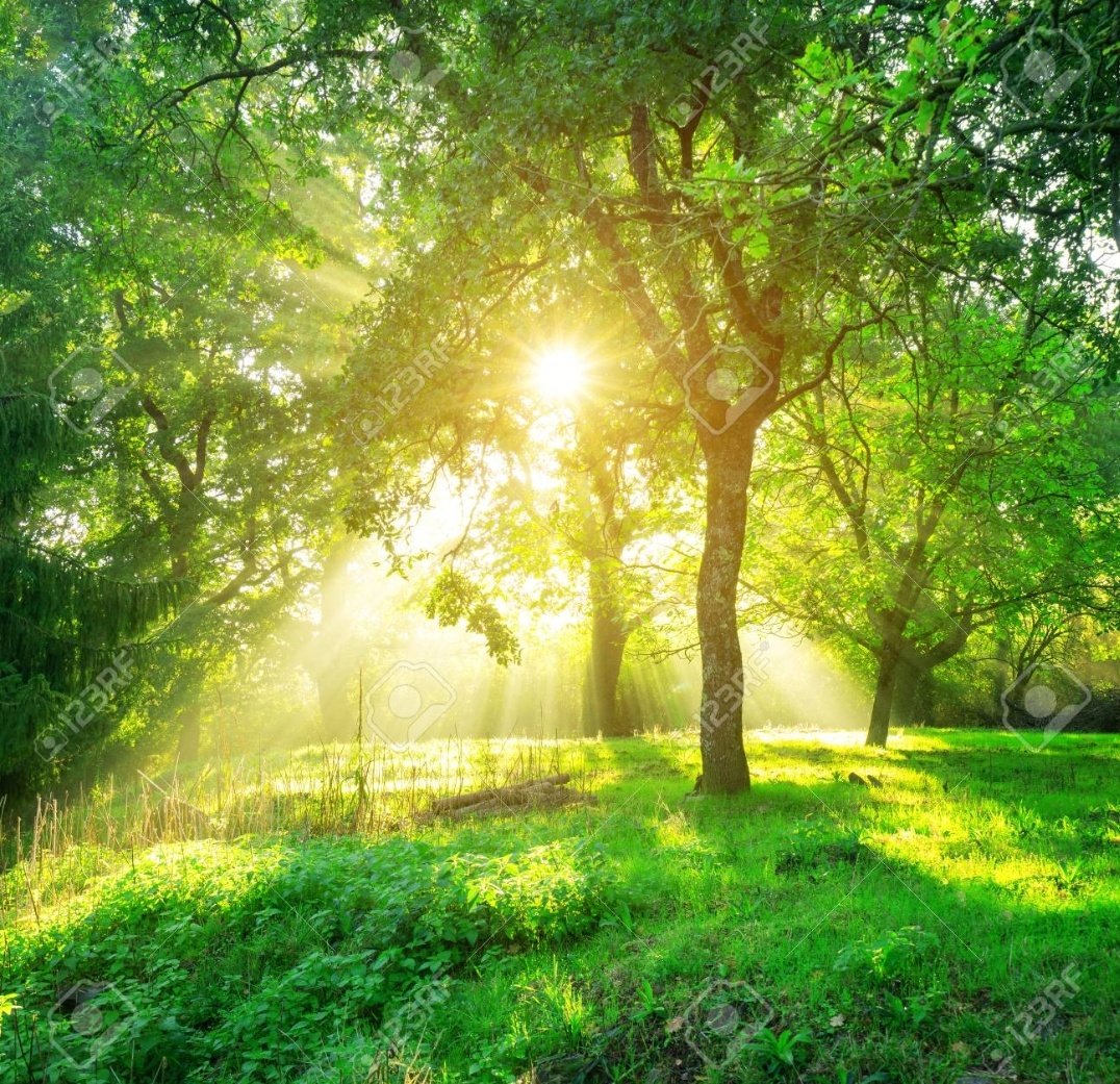 Wake up with gratitude, move forward with purpose, and let your faith lead the way.

No matter how slow your steps, you’re still moving closer to your dreams.

Start today with positivity, the world responds to the energy you give it.