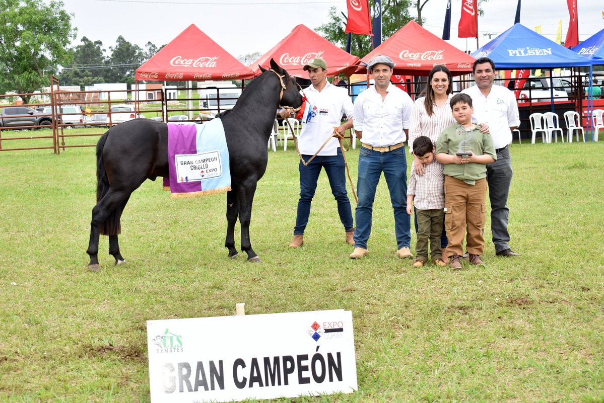 arp_py's tweet image. ELIGEN A LOS PRIMEROS CAMPEONES DE LA EXPO GUAIRÁ 2025
Entraron en competencia ejemplares de las razas Brangus, Braford, Senepol y Criolla, todas ellas destacando un alto potencial genético.
acortar.link/sGAGkc