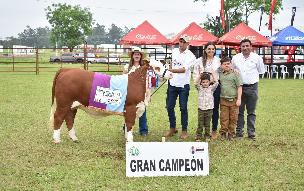 arp_py's tweet image. ELIGEN A LOS PRIMEROS CAMPEONES DE LA EXPO GUAIRÁ 2025
Entraron en competencia ejemplares de las razas Brangus, Braford, Senepol y Criolla, todas ellas destacando un alto potencial genético.
acortar.link/sGAGkc