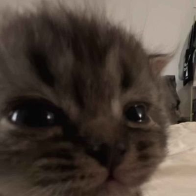idkwhatever98's tweet photo. https://t.co/l9sNRdIzba