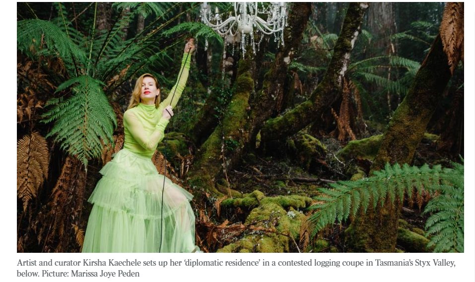 Fine art of forest hotel diplomacy reframes Apple Isle’s logging debate theaustralian.com.au/nation/monas-k… via <a href="/australian/">The Australian</a> #forests #forestry #mona #logging #politas #art
