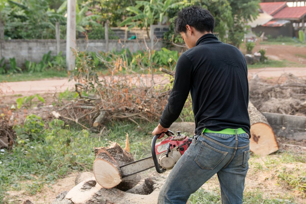 SesmasTree's tweet image. From Eyesore to Opportunity: How Stump Grinding Transforms Your Yard

Trees are magnificent entities that not only enhance the quality of our landscapes but also the environment. However, certain situations can make these green giants hazardous, ...

sesmastreeservice.com/from-eyesore-t…