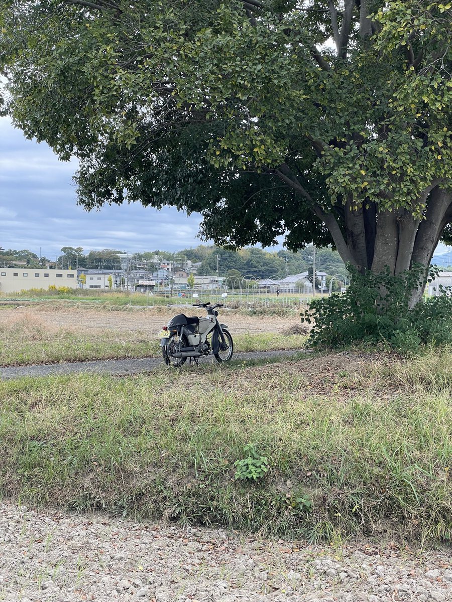 satosh100's tweet image. おはようございます🌳
今日はいつもより遅め☁️
好き勝手出来るのは家族のお陰…
当たり前を当たり前と思うな…
ですよね😌ですよね…
ちょっとリフレッシュ🏍️💨💨💨
いってらっしゃい、いってきます
今日も一日ご安全に🙏
幸せに過ごしましょう🍀
#c100 #スーパーカブ