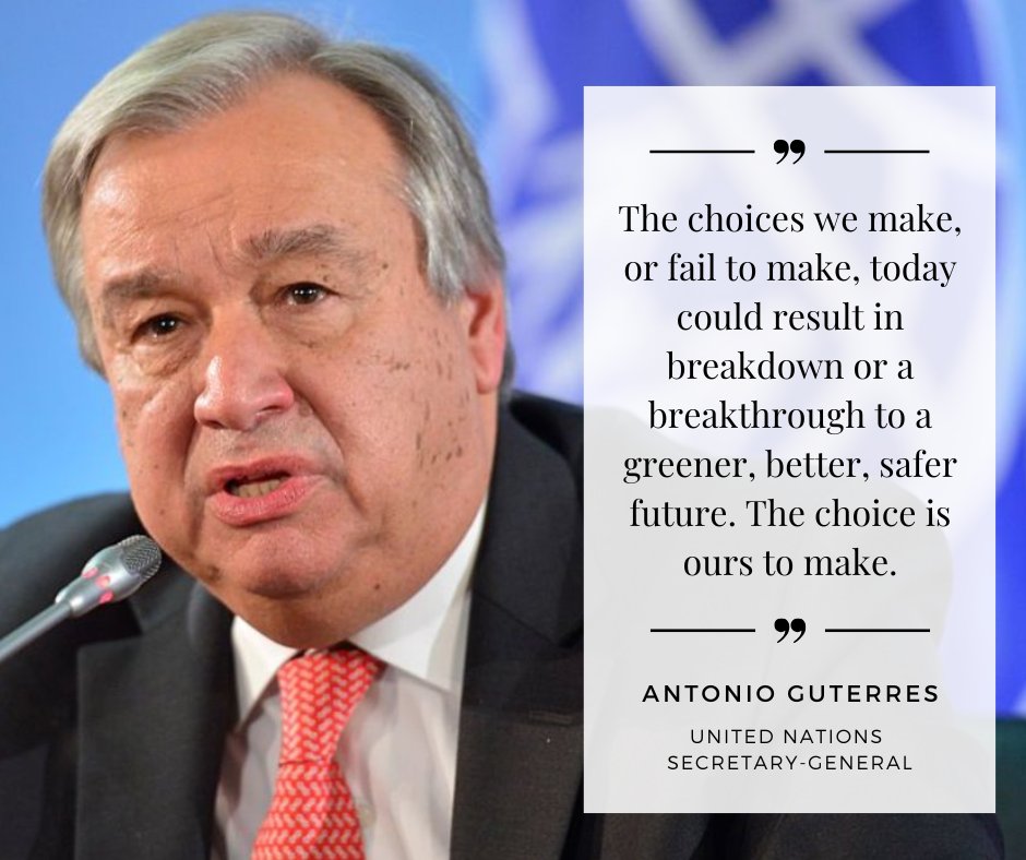 Circle Green Community Legal tweet media