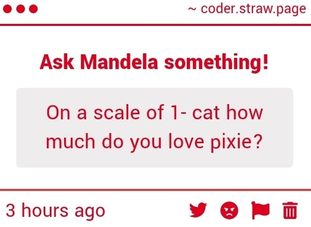 the_coder244's tweet image. &amp;lt;[hmm, 1 billion cats]&amp;gt;